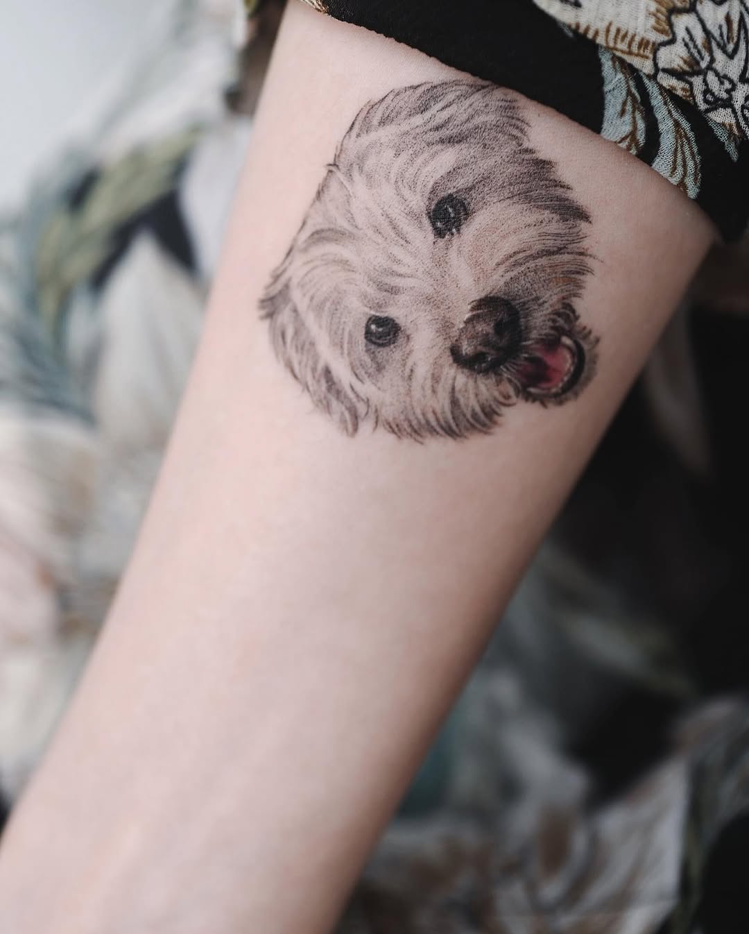 Animal
