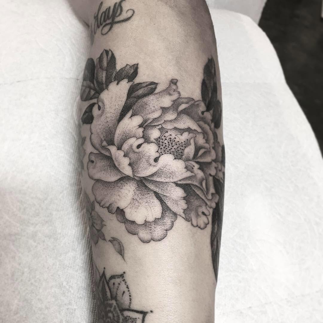 Rose, Flower