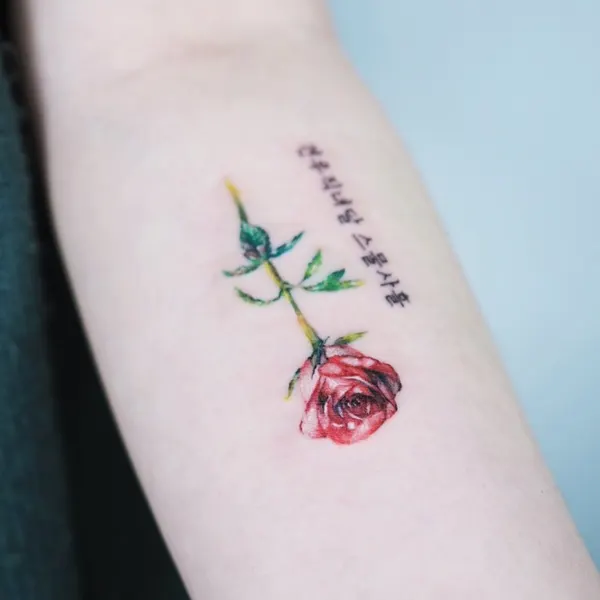 Flower, Rose