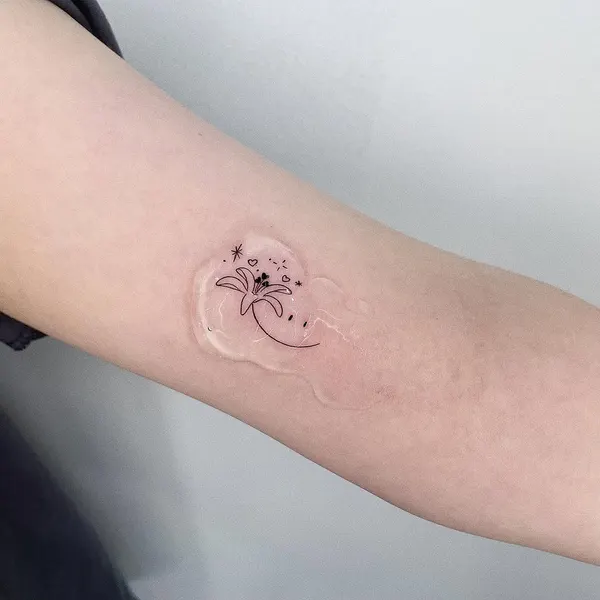 Mini, 해파리