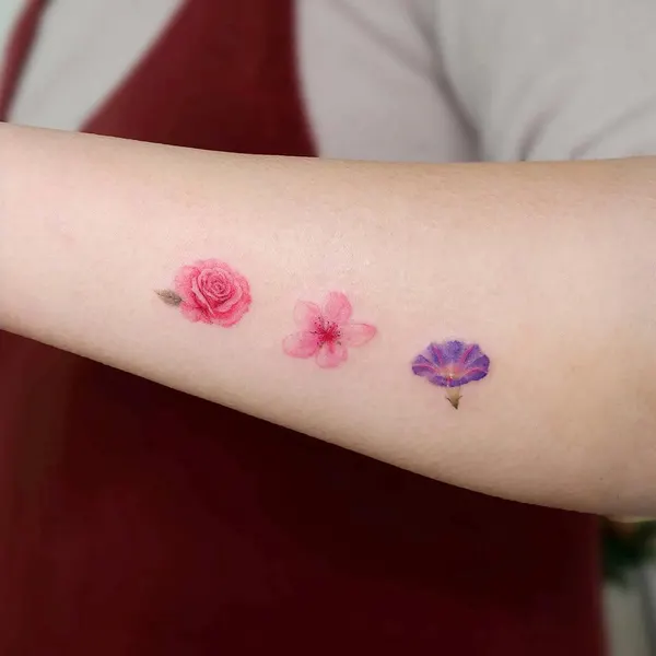 Flower, Rose