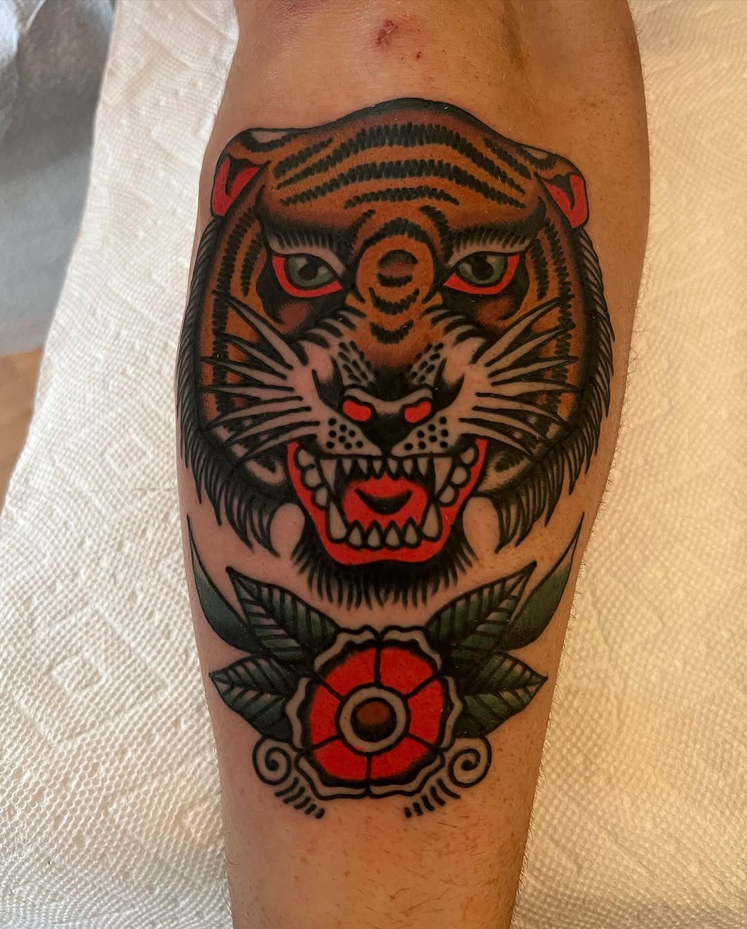 Tiger