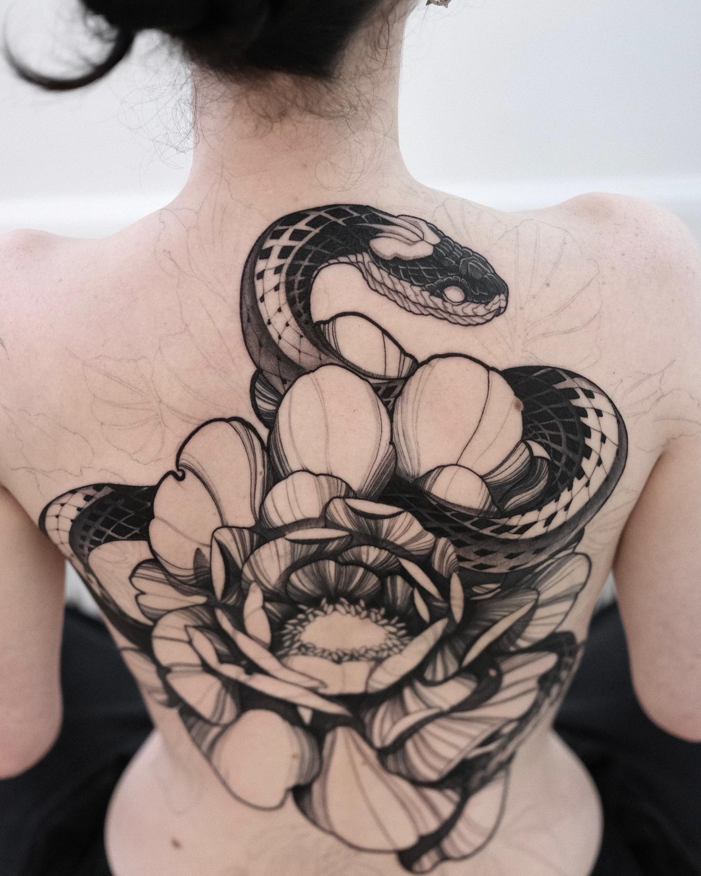 Flower, Rose, Nature, Dragon