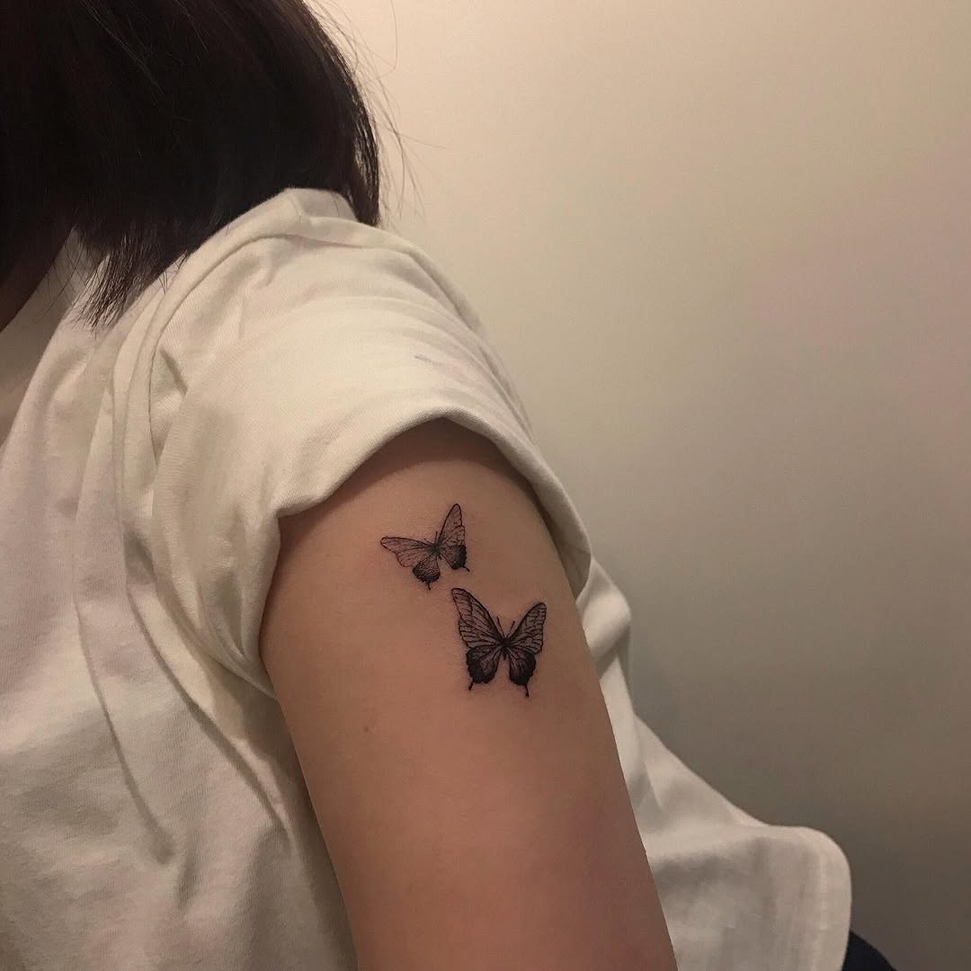 Animal, Nature
