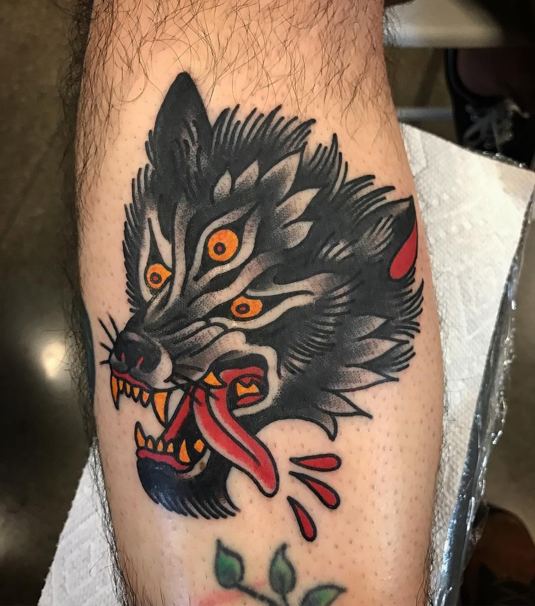Tiger, Animal