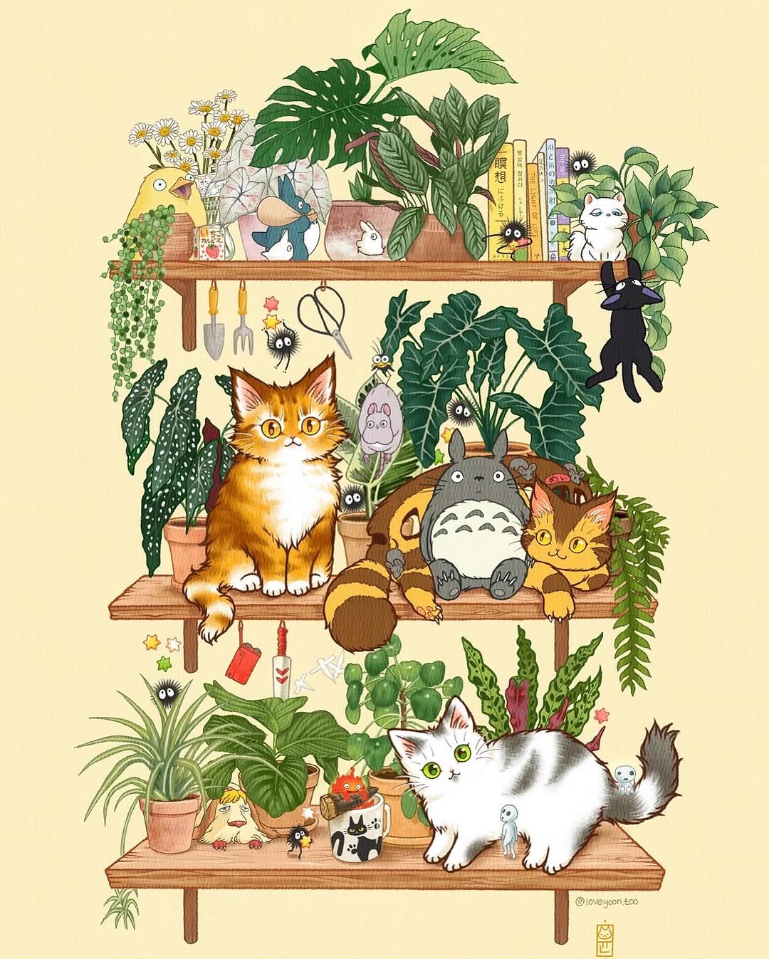 Animal