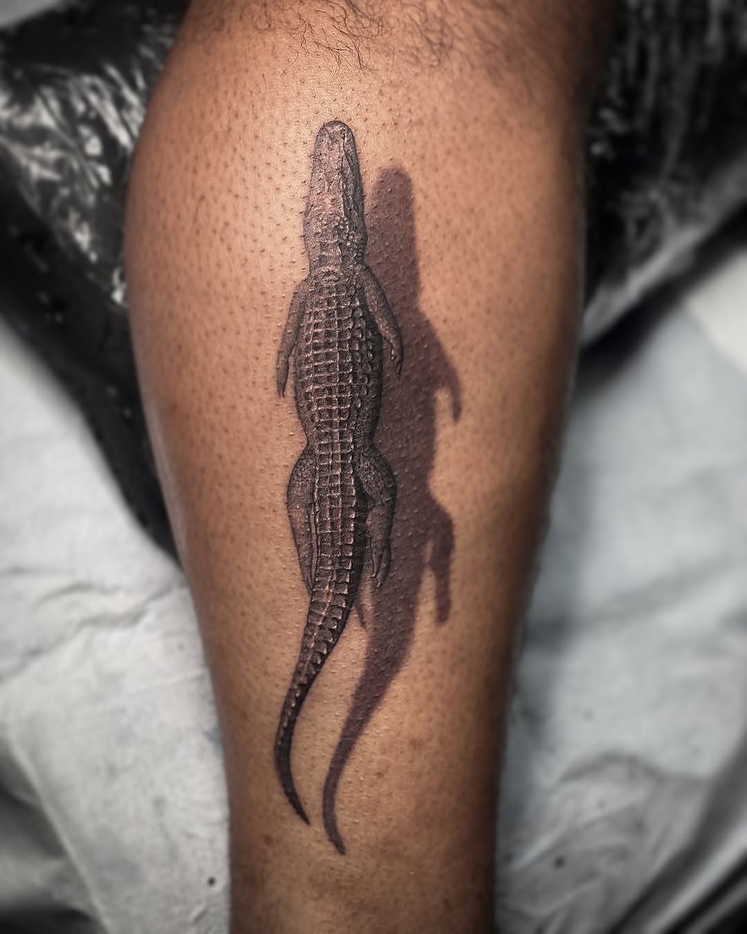 Animal, Snake