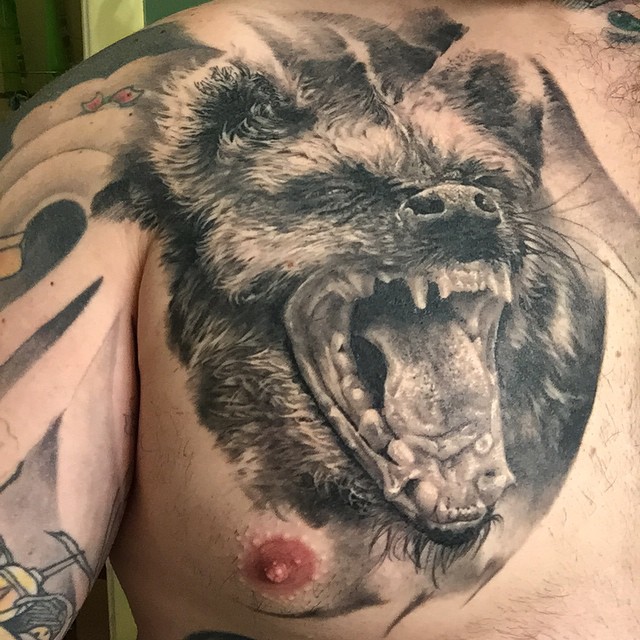 Animal, Tiger