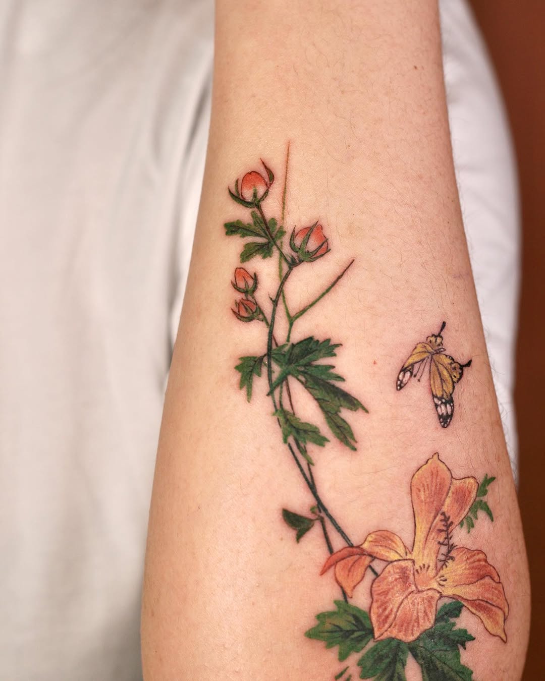 Flower, Rose