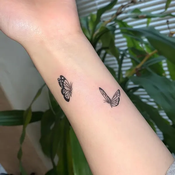 Nature, Animal