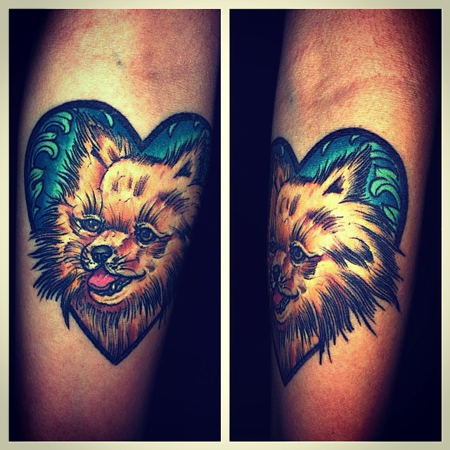 Tiger, Animal