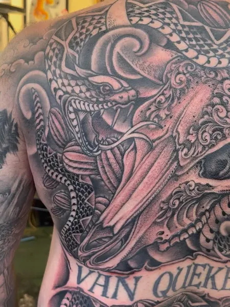 Dragon