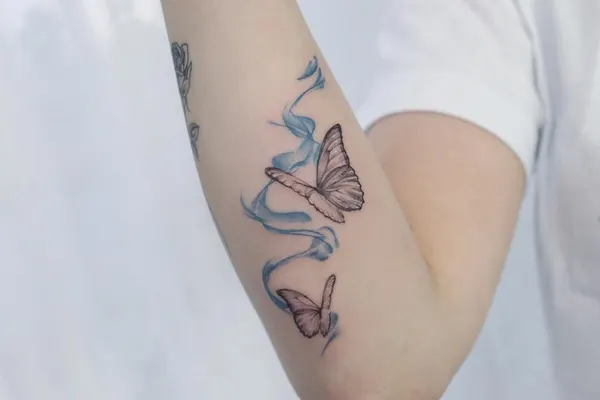 Nature, Animal