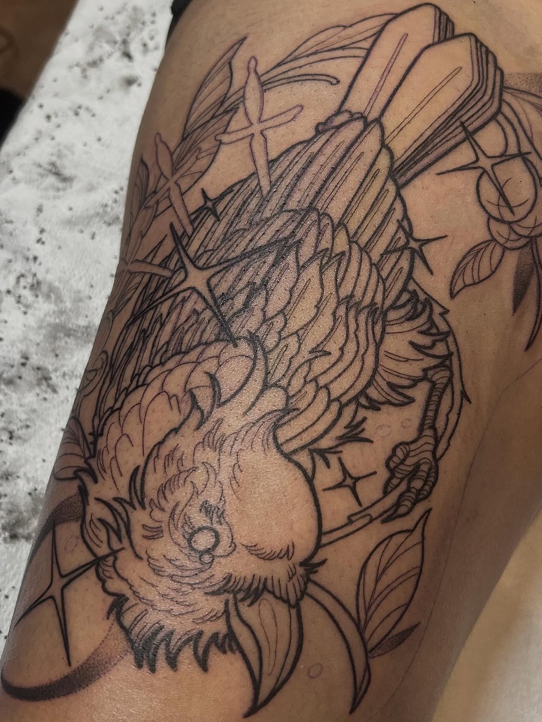 sarastigmata