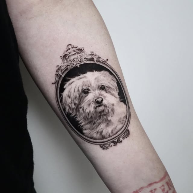 Animal