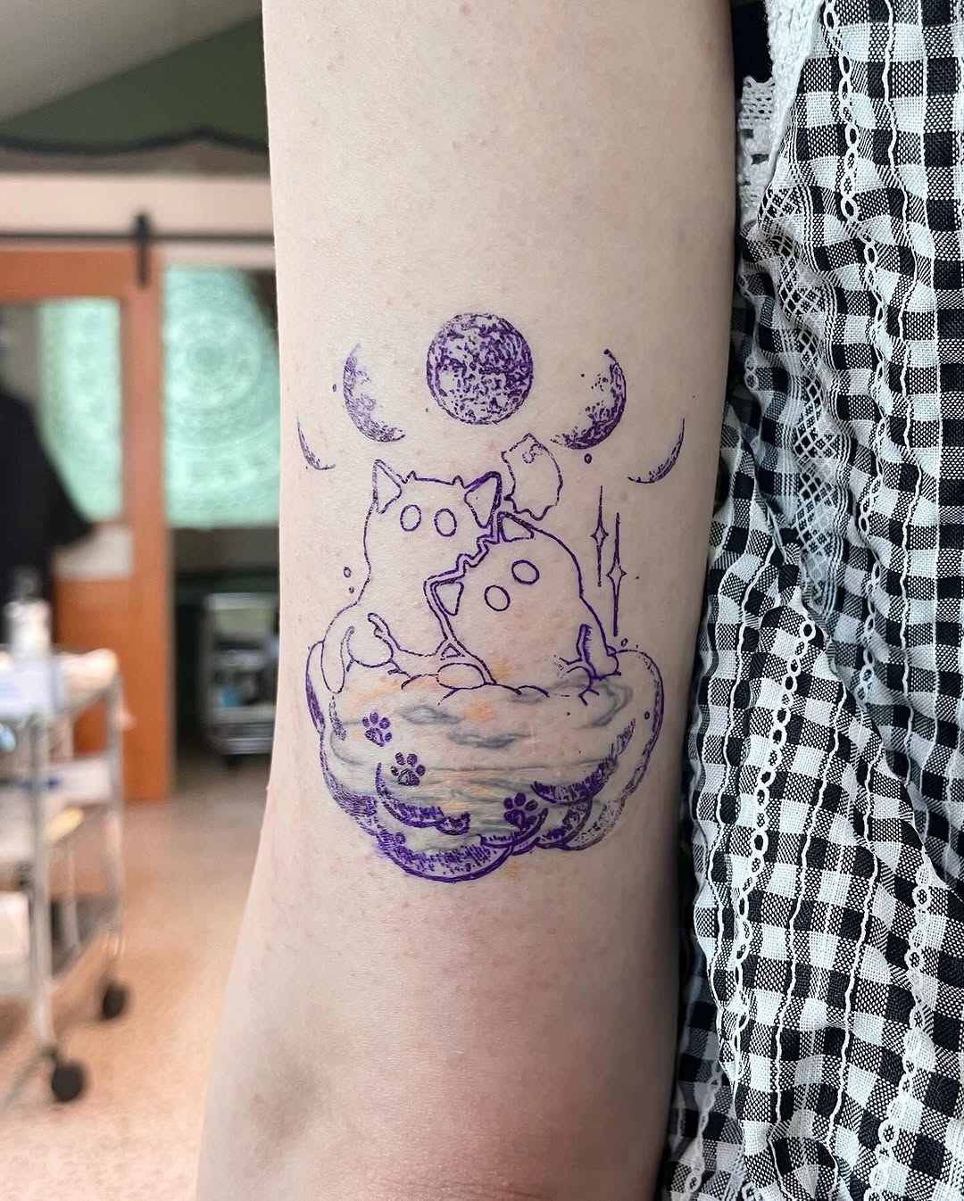 gnar.ttt