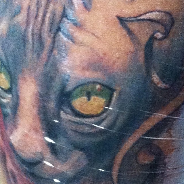 Animal