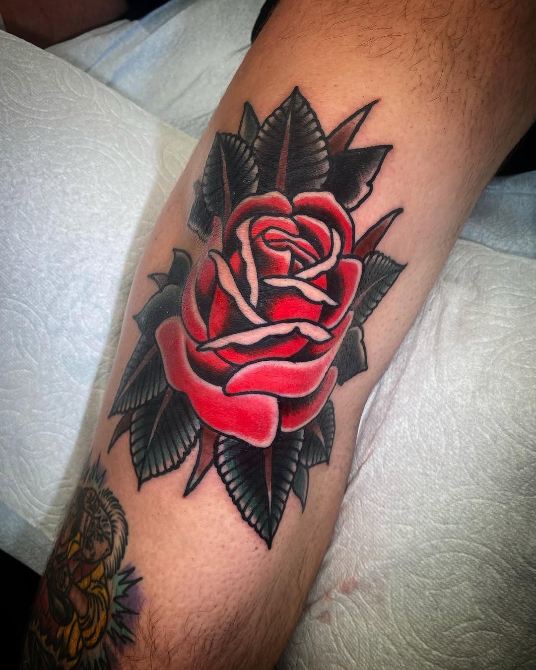 Flower, Rose