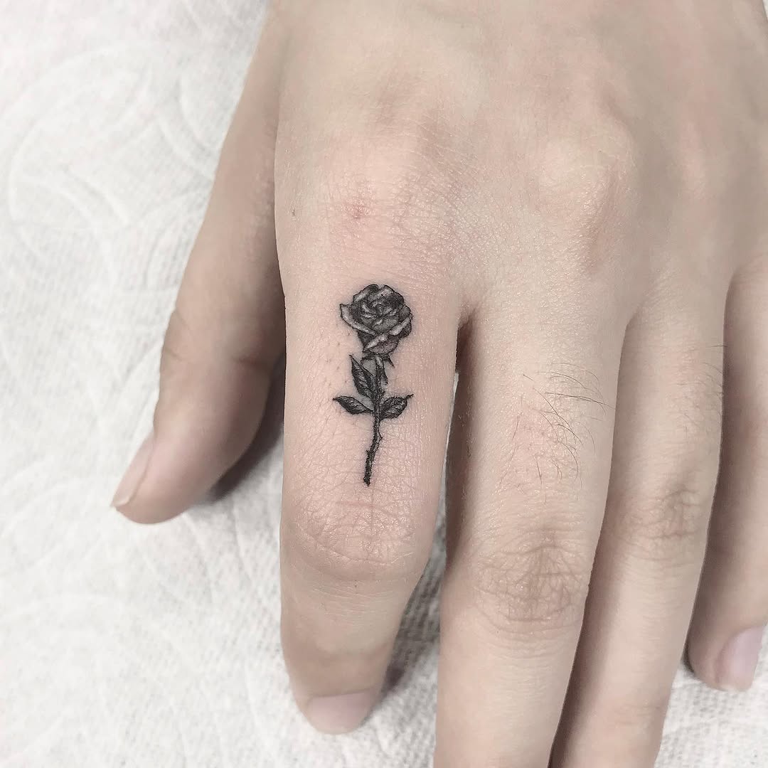 Flower, Rose