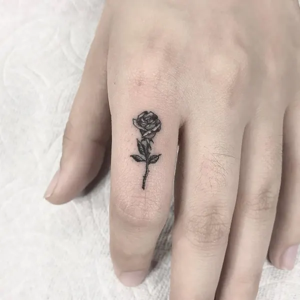 Flower, Rose