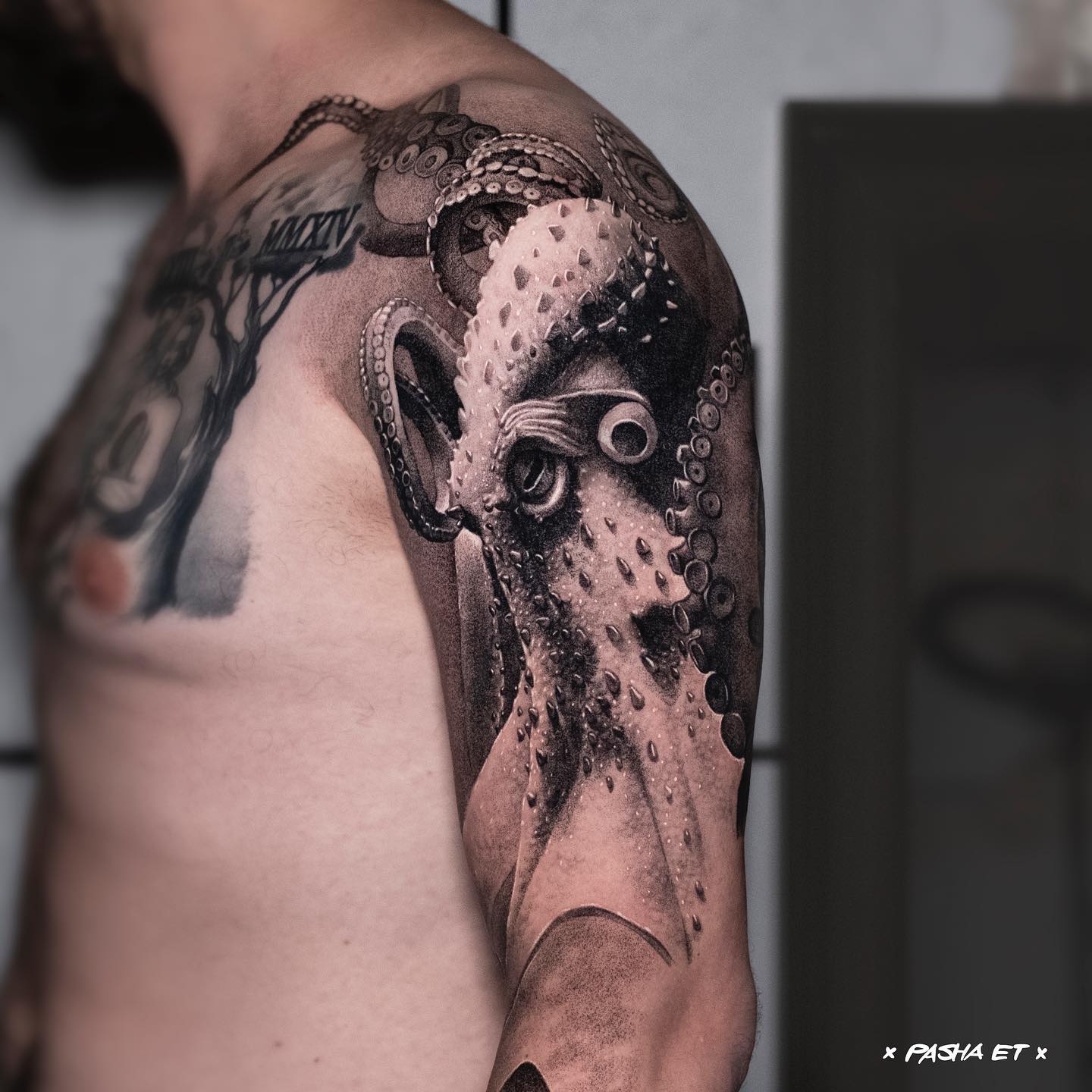 Animal