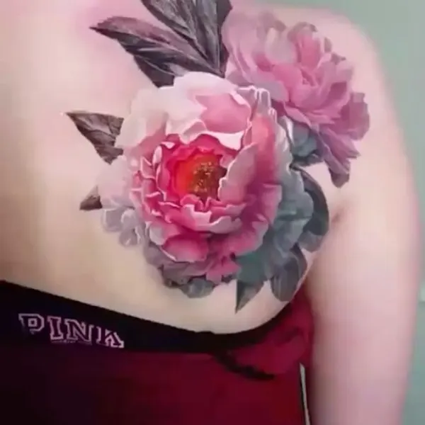 Rose, Nature, Flower