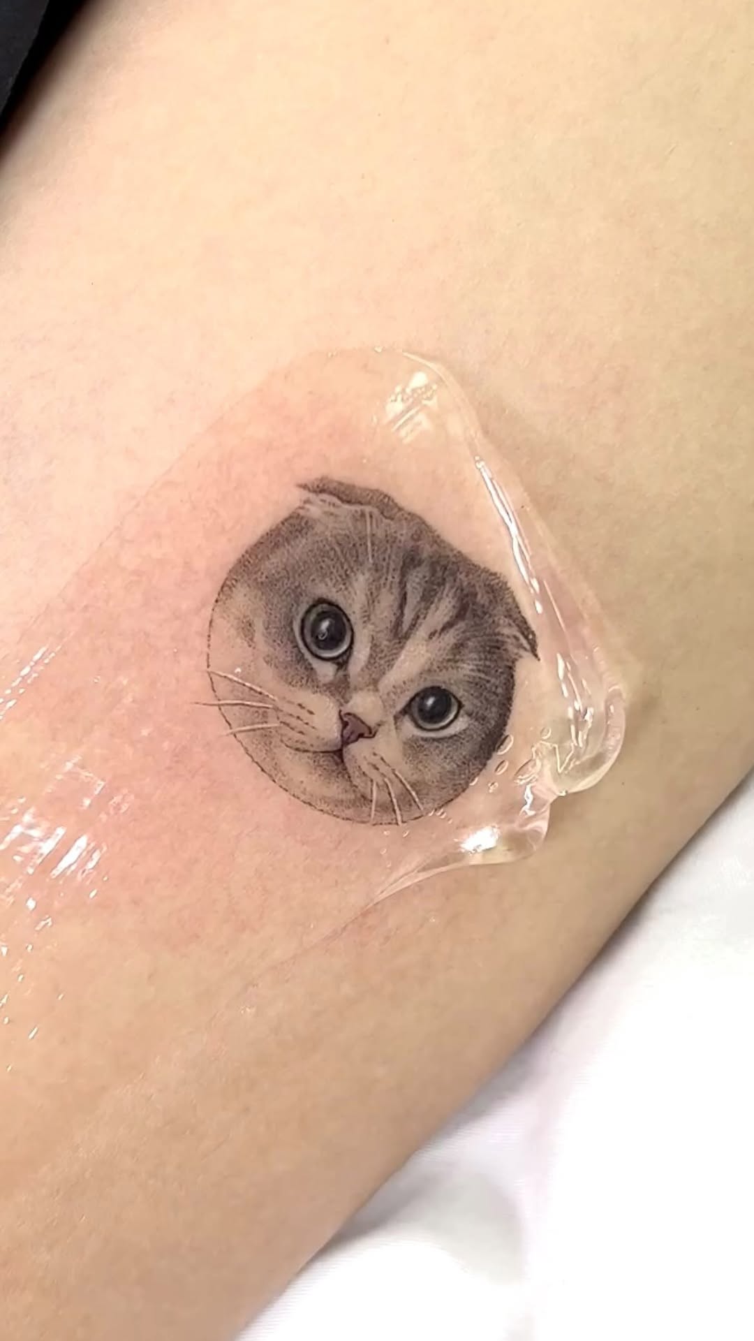 dorok.tattoo