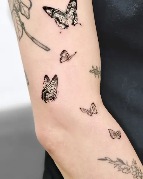 Nature, Animal