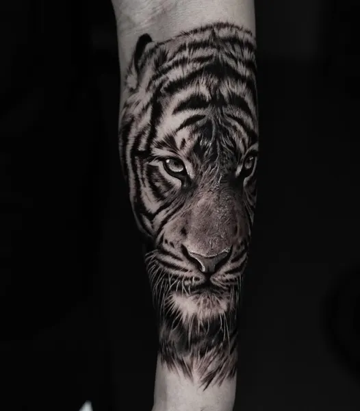 중국 호랑이, 일본 호랑이, Tiger