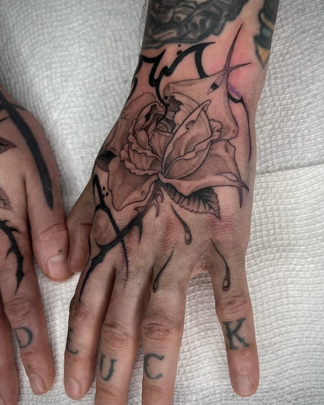 Flower, Rose