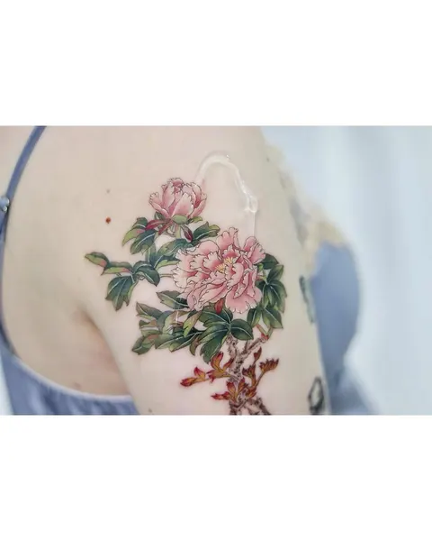 Flower, Rose, Nature