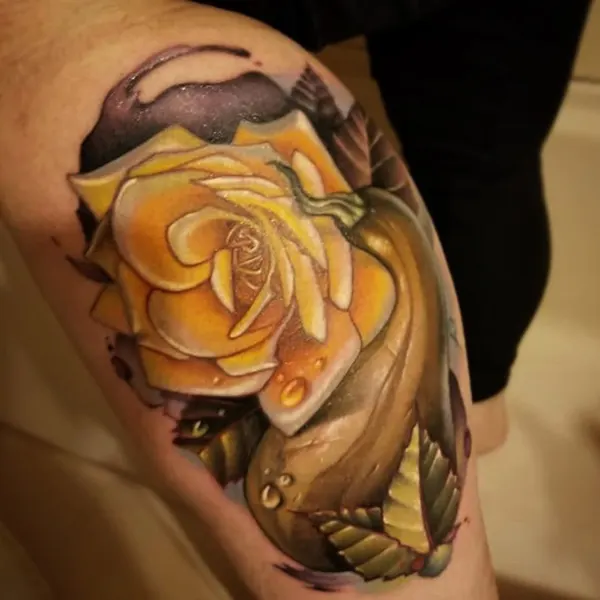 Flower, Rose
