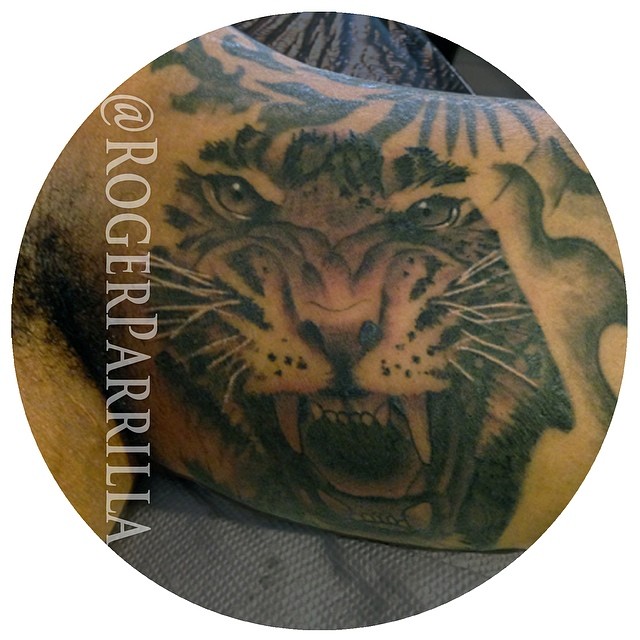 Tiger