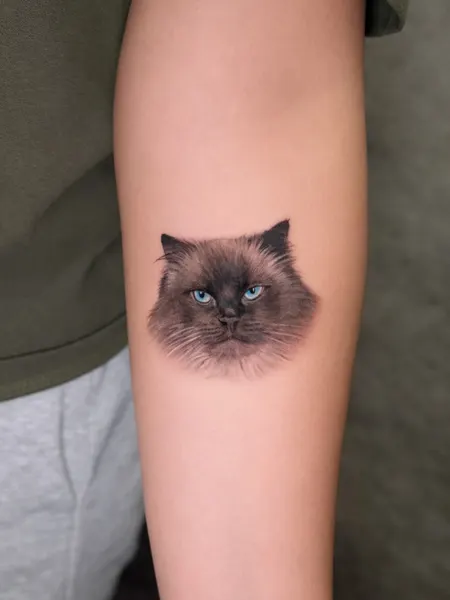 Animal