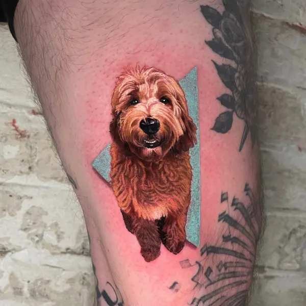 Animal