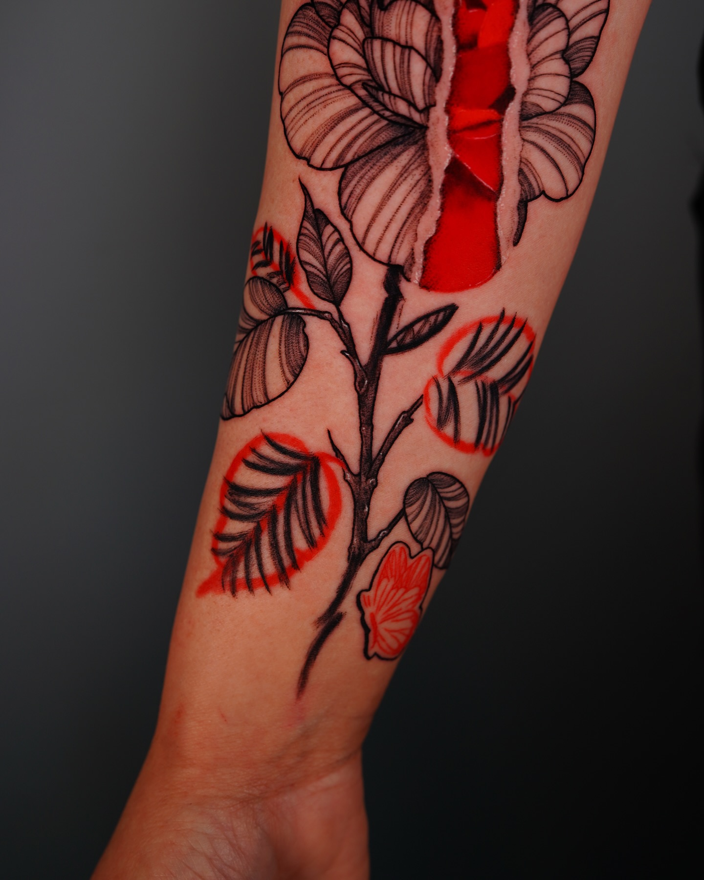 Flower, Rose