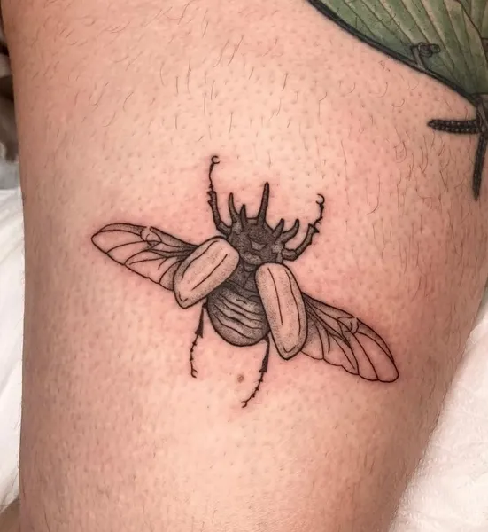 Animal