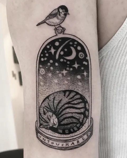 Animal, 곰