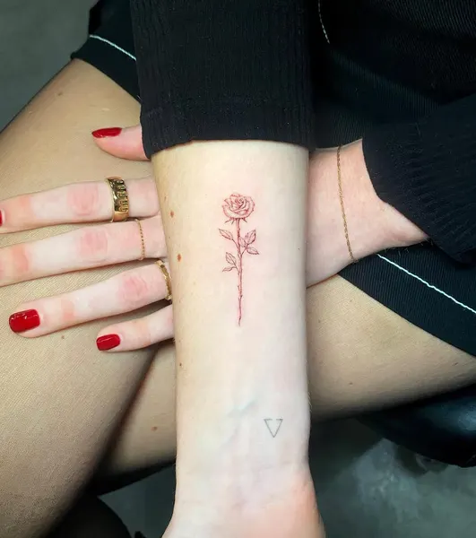 Flower, Rose