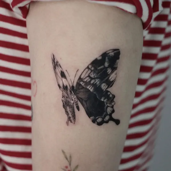 40.tatt