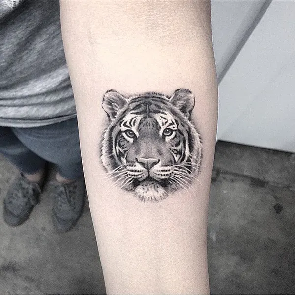 Tiger