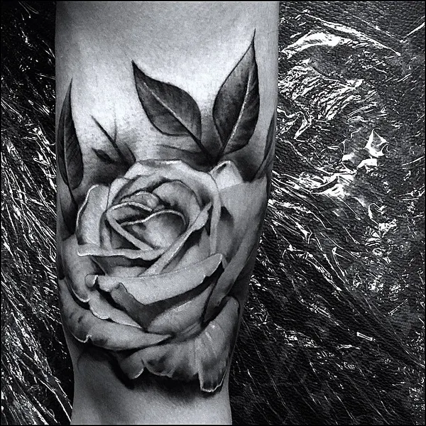 Flower, Rose