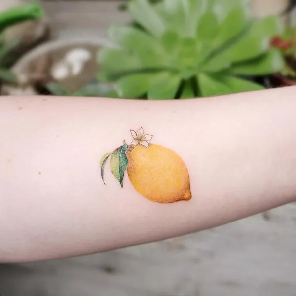 과일, Flower, 레몬, 석류, 체리, 무당벌레