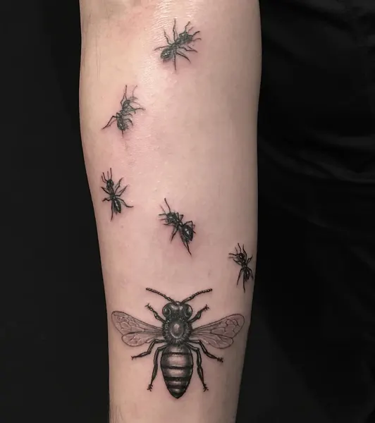 Animal