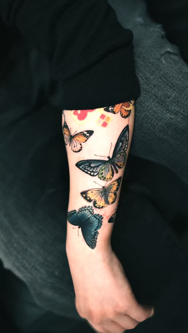Animal, Nature