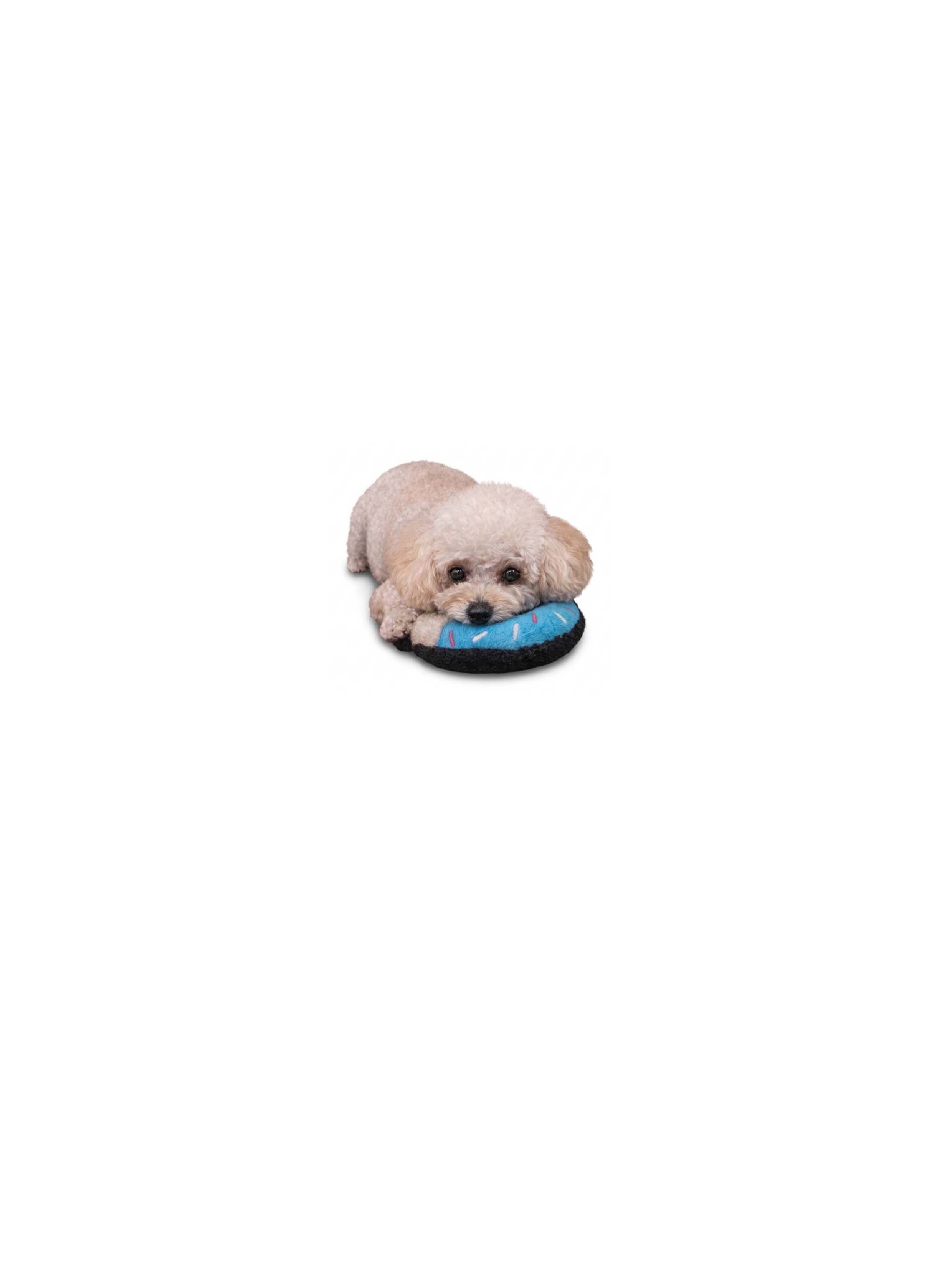 반려동물
