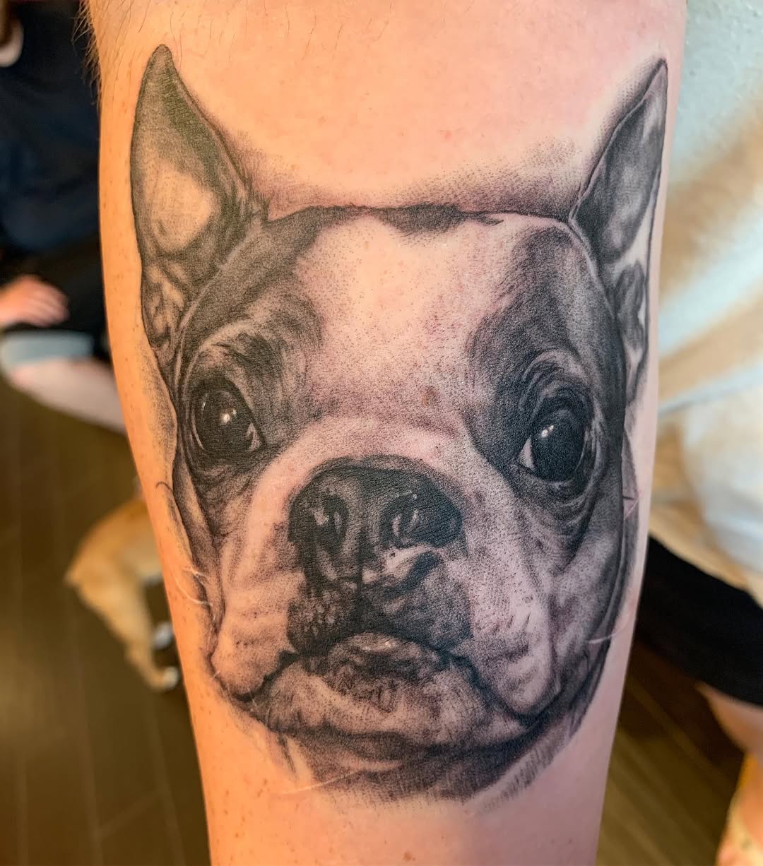 Animal