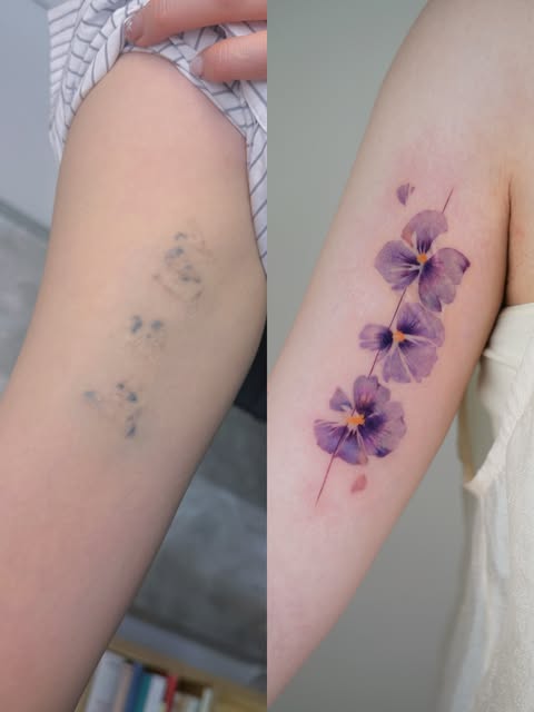 Flower, Rose