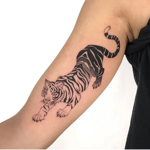 Tiger