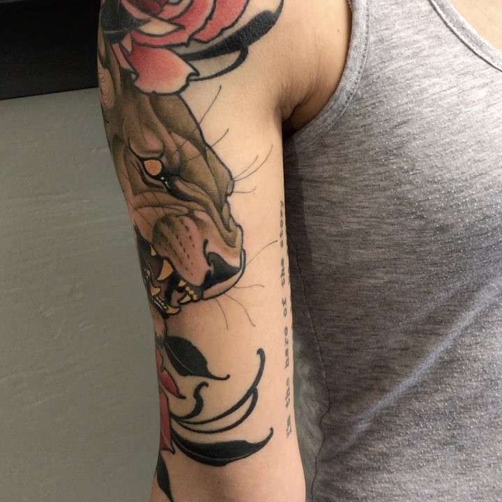 Tiger